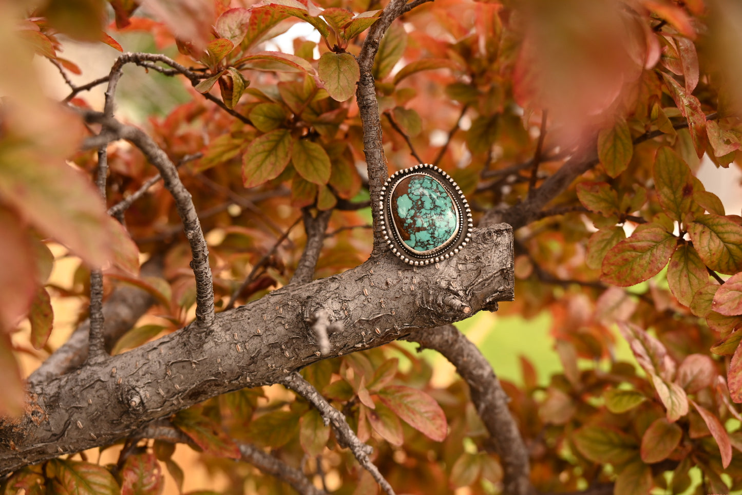Red webbed Kingman Turquoise Shadow box ring