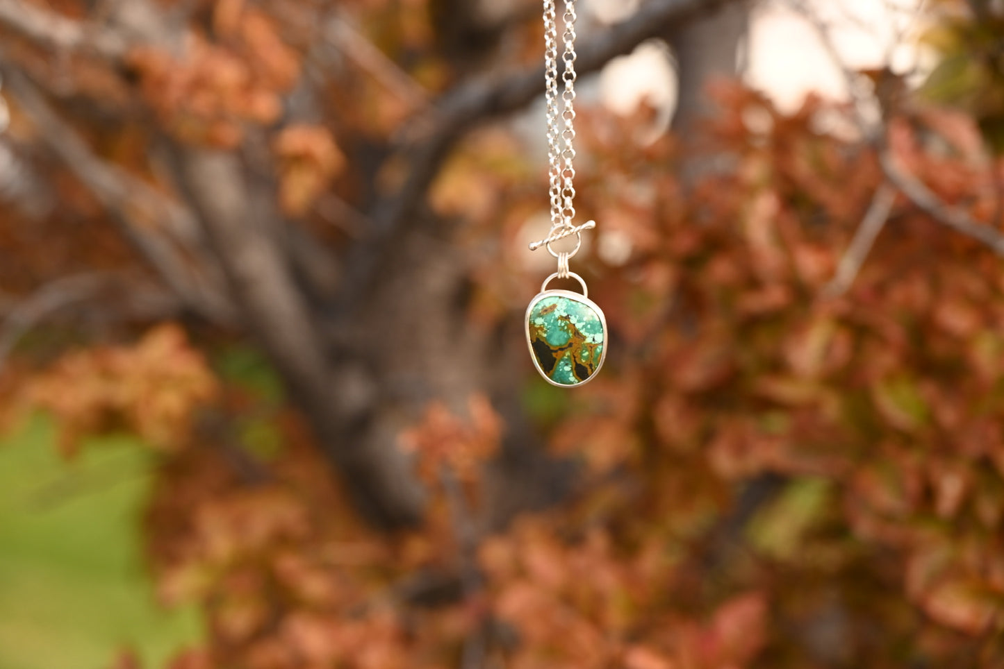 Treasure Mountain Turquoise | Sterling Rolo Chain Pendant
