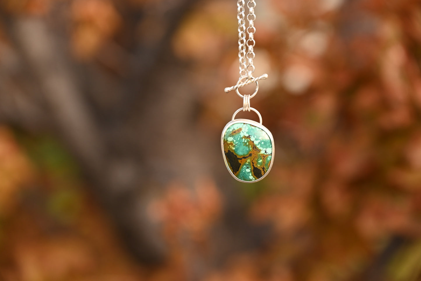 Treasure Mountain Turquoise | Sterling Rolo Chain Pendant