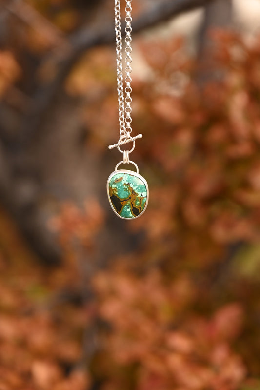 Treasure Mountain Turquoise | Sterling Rolo Chain Pendant