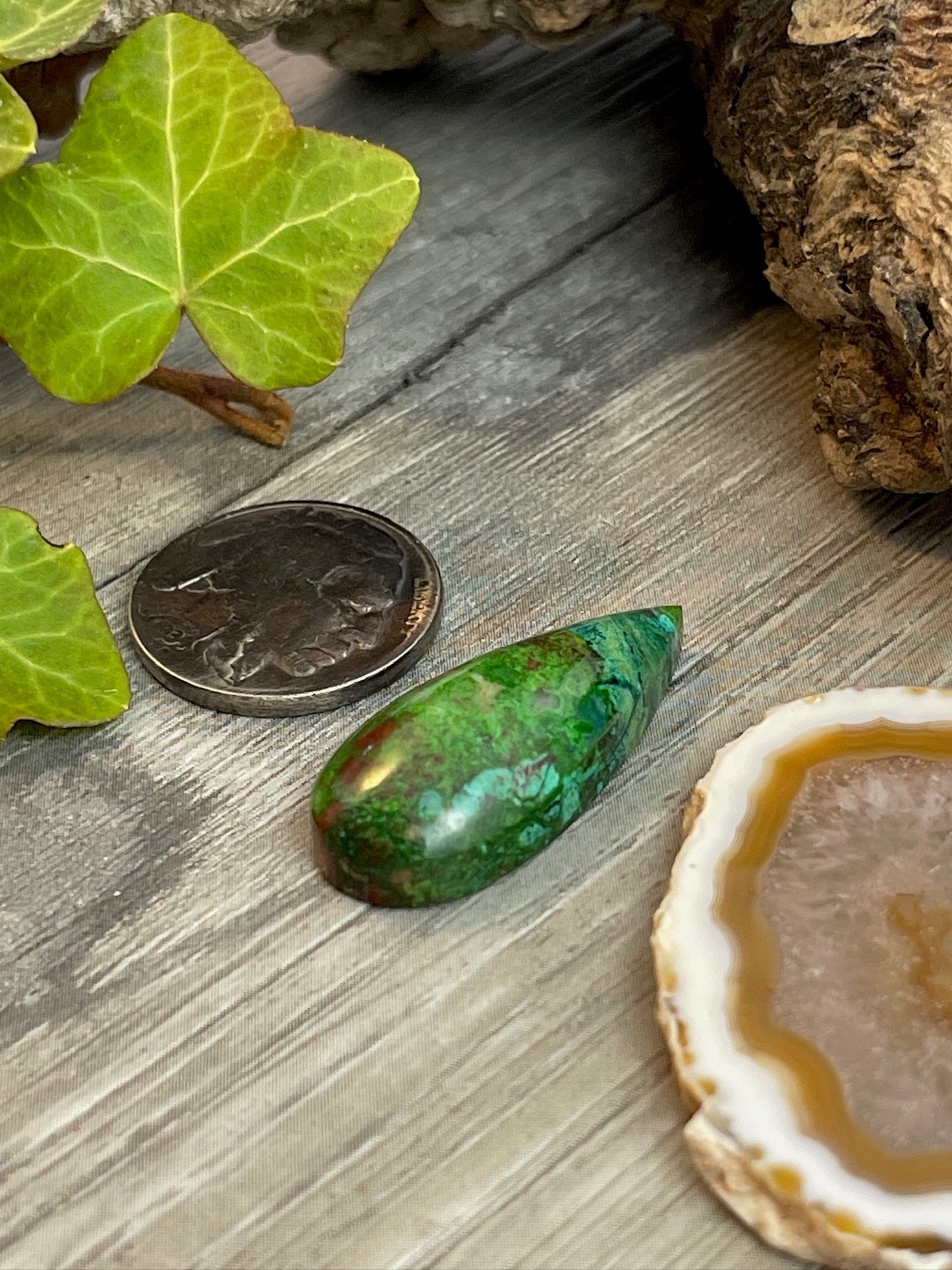 Crowned Teardrop- Old Collection Parrot Wing Chrysocolla