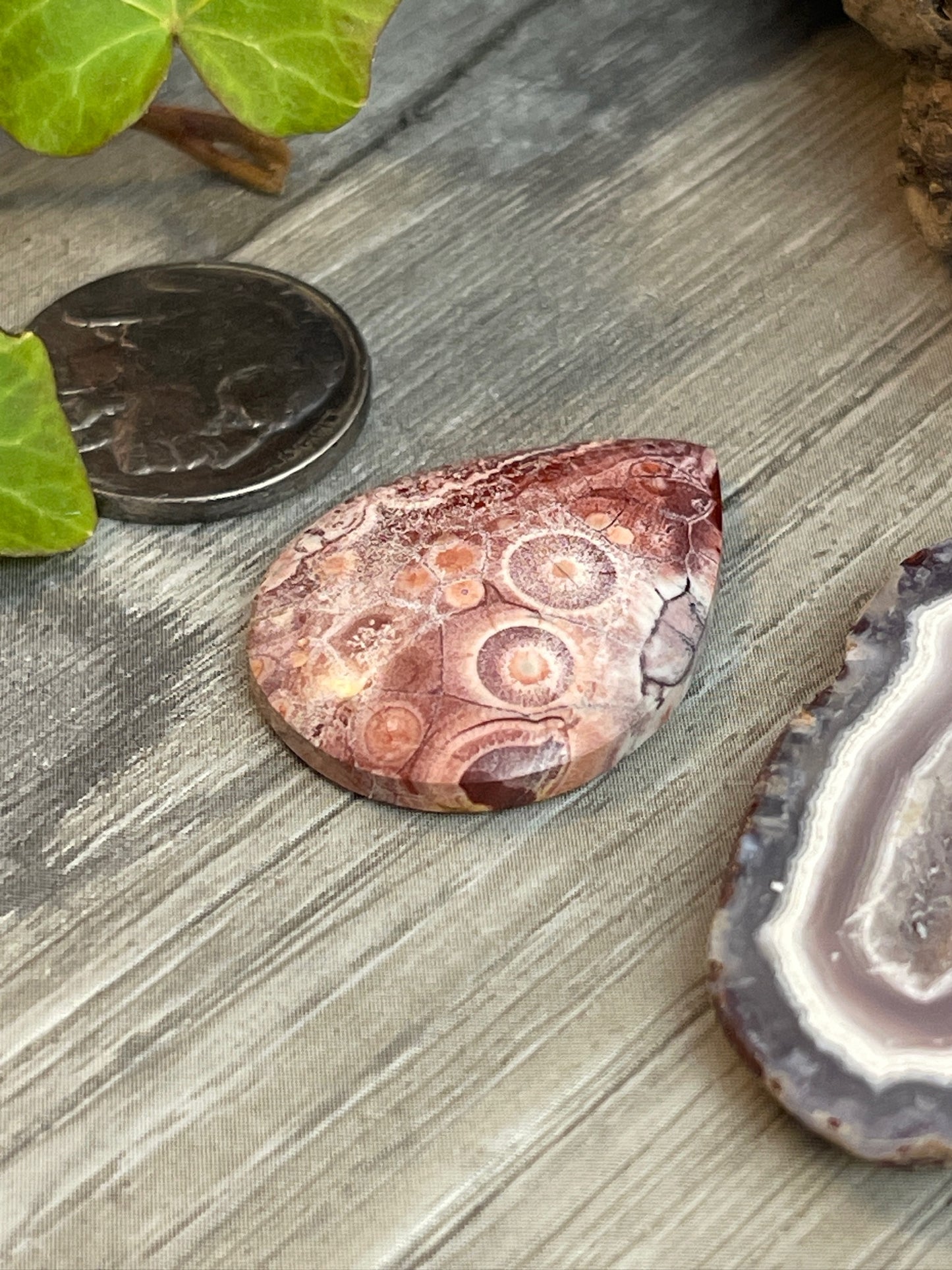 Chunky Boho- Orbicular Galaxy Stone- 22 Carat