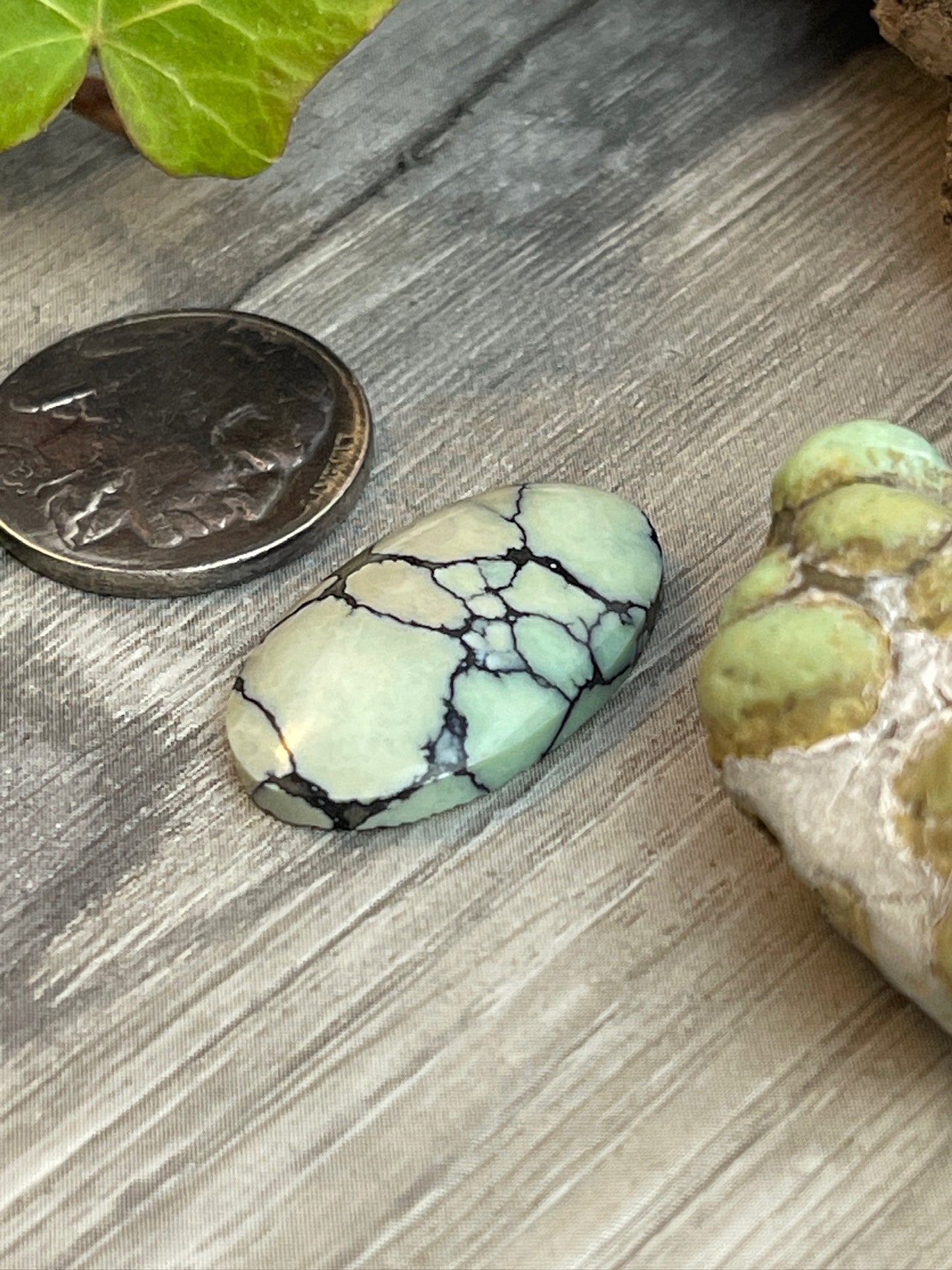 Not So Basic B!tch- Desert Bloom Variscite- 15 Carat