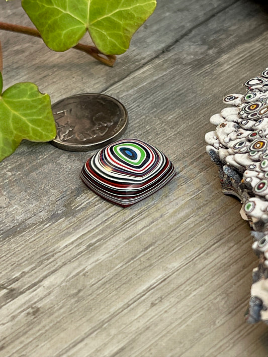 Fordite Frenzy- D