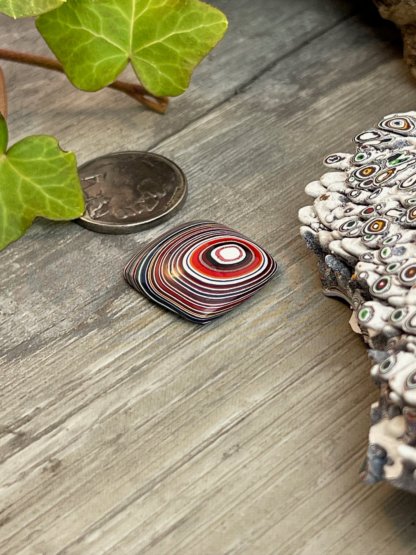 Fordite Frenzy- C