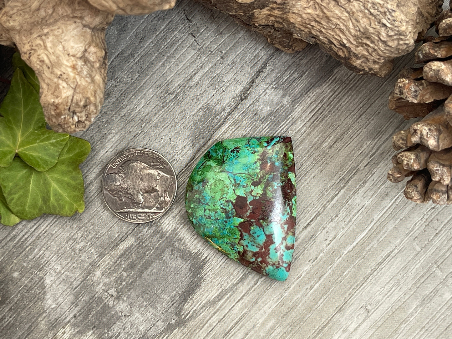 Bolo Tie- Old Stock Parrot Wing Chrysocolla- 85 Carat