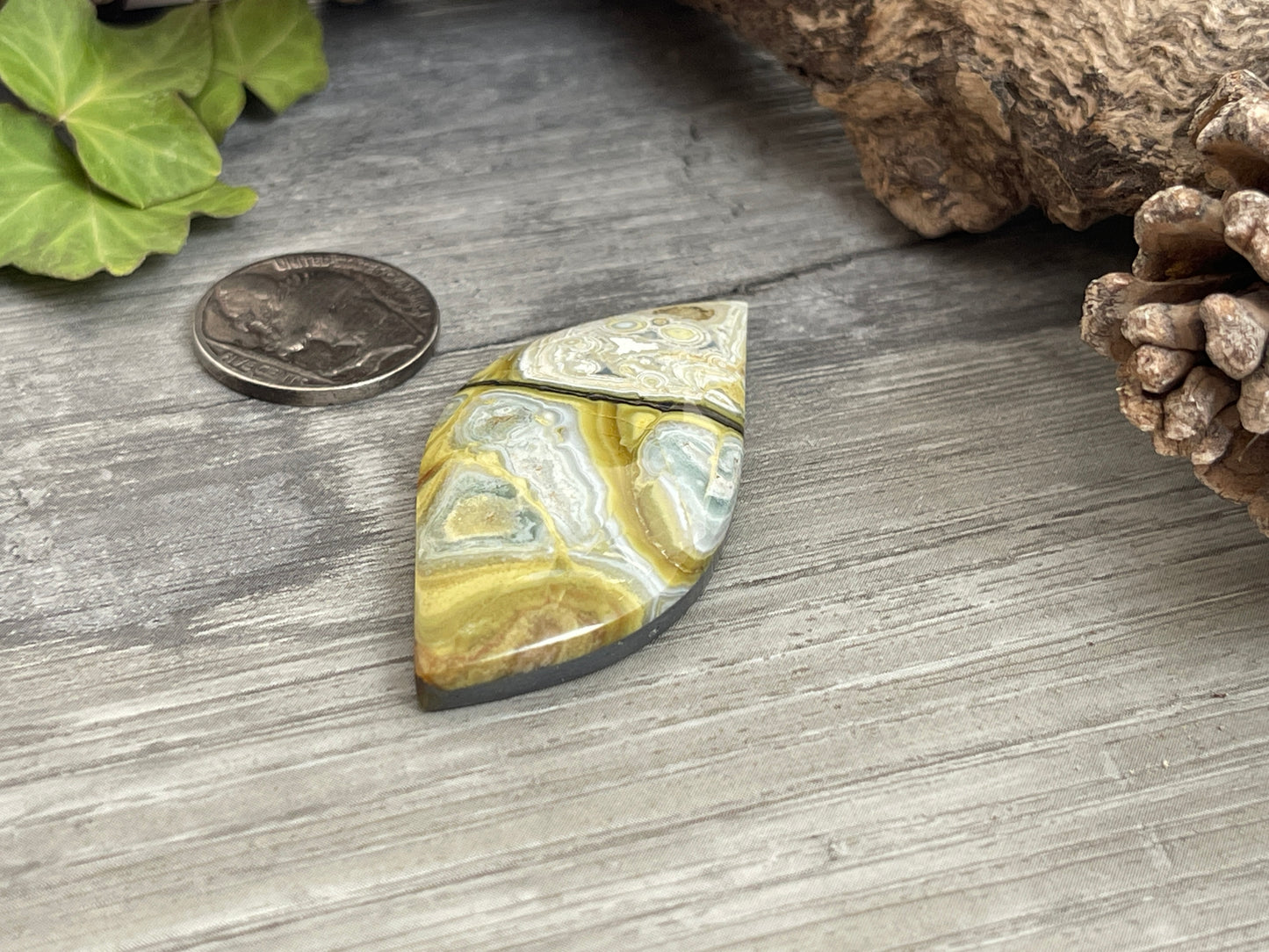 Bolo Tie- Clay Canyon- 71 Carat